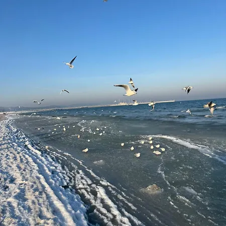 Guest Orlowo Pensión 4*